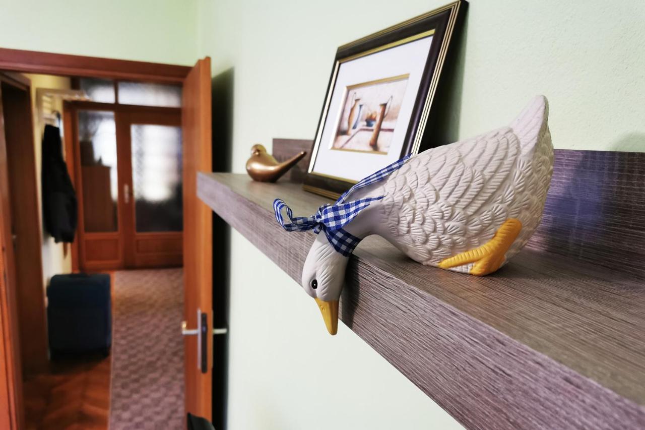 ביילובאר Apartman Skudar מראה חיצוני תמונה